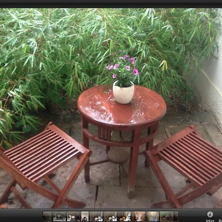 Apartmenthaus Saxonia Apartment Bad Schandau